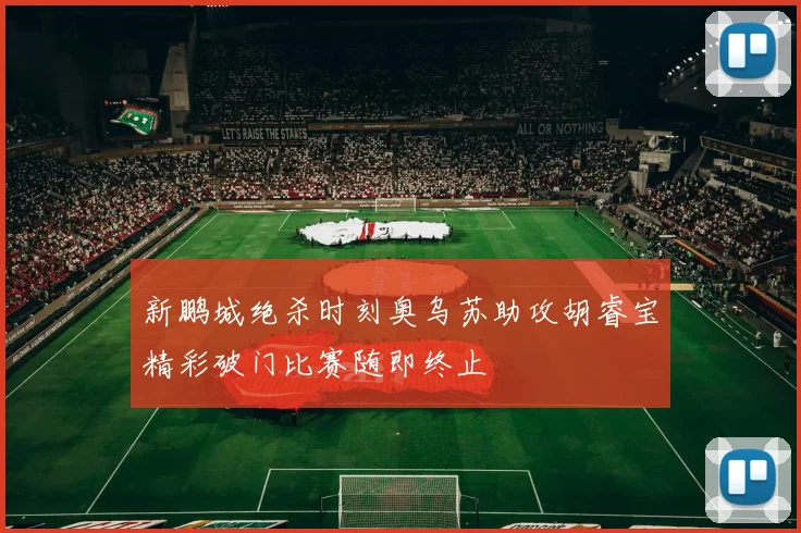 新鹏城绝杀时刻奥乌苏助攻胡睿宝精彩破门比赛随即终止